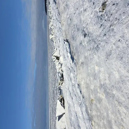 Schwedenhaus, Am Achterwasser, Urlaub Mit Hund