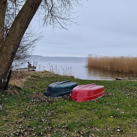 Schwedenhaus, Am Achterwasser, Urlaub Mit Hund 別荘 *