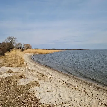 Schwedenhaus, Am Achterwasser, Urlaub Mit Hund Lütow