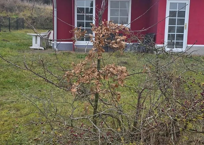 Casa de Férias Schwedenhaus, Am Achterwasser, Urlaub Mit Hund *