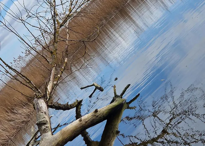 Schwedenhaus, Am Achterwasser, Urlaub Mit Hund Lutow