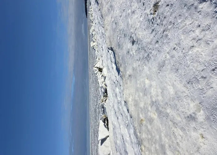 Schwedenhaus, Am Achterwasser, Urlaub Mit Hund